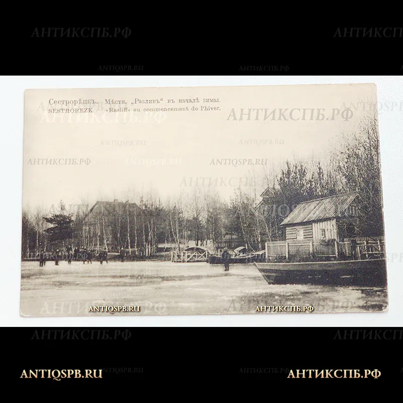 Открытка старинная. Почтовая карточка. Carte Postale. "Сестрорецк Местность "Разливъ" в начале зимы. Россия. Нач. ХХ века. №5108